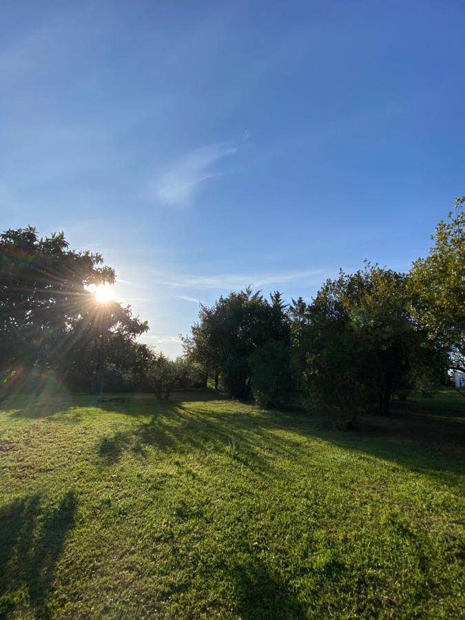 Studio climatisé dans un ancien domaine viticole Montpellier Esterno foto