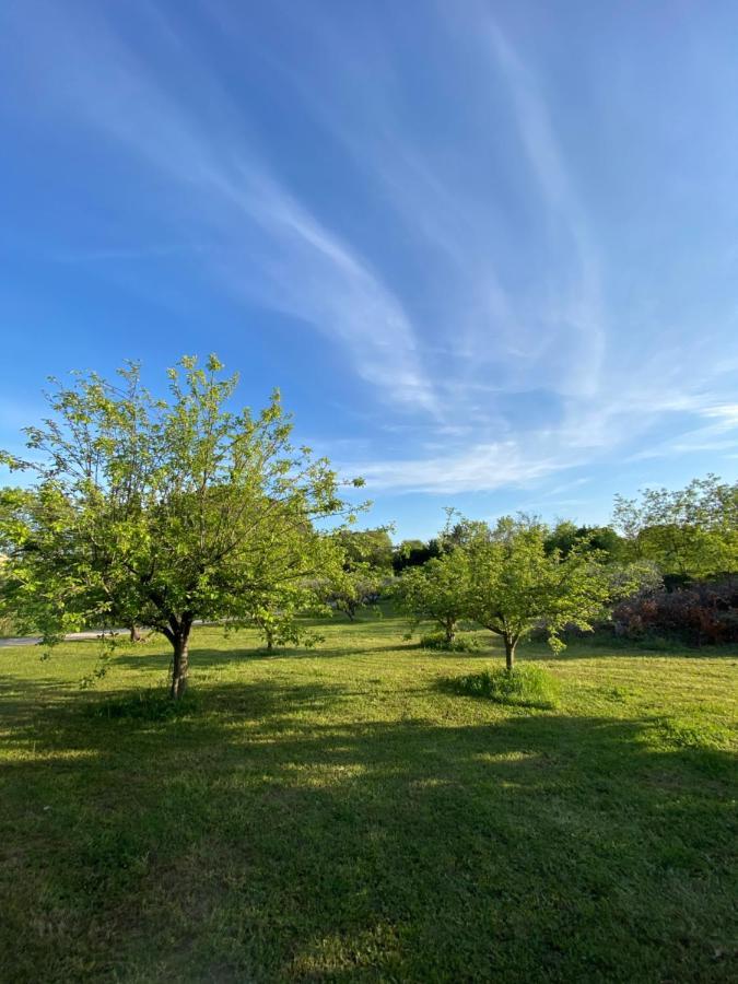 Studio climatisé dans un ancien domaine viticole Montpellier Esterno foto