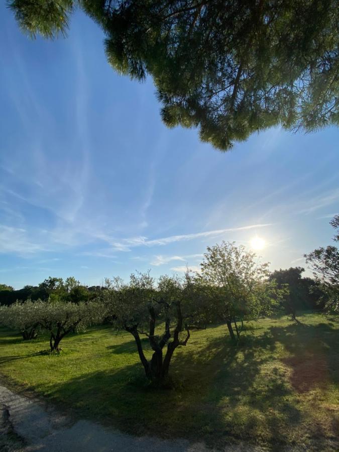 Studio climatisé dans un ancien domaine viticole Montpellier Esterno foto